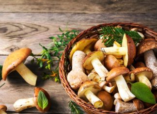 Este sezonul ciupercilor! Descoperiti toate beneficiile lor